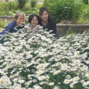 팔암농장 이미지