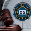 "술 마셔야 해서" 생후 52일 딸 홀로 두고 숨지게 한 20대 친모…1심 징역형 이미지