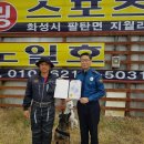 노일호 특수목적견 이미지