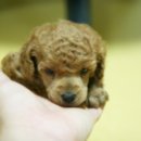 가정1-01-054 이미지