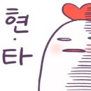 샌드포레스트 이미지
