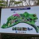 카페보경로498 | 가을 첫 자락은 경상북도 수목원 에서 [2021.10.21]