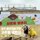 서촌동 댕번지 | 서촌동댕번지ㅣ청주 애견카페 내돈내산 방문 후기 - 반려동물 행동 훈련사 자격증 보유 사장님 상주...