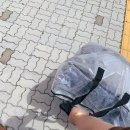 크린토피아코인워시충북 이미지