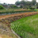 화수리농장 이미지