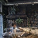 주주농장 | 🍁일산 주주랜드🐻 아이들과 주말나들이 딱 좋아! 악어까지 본 날🐊