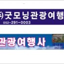 굿모닝 관광여행사