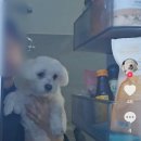 한일카센타 이미지