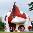 가족축산 투어코리아