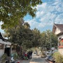 더 루앙 | [라오스] 루앙프라방 다운타운 호스텔 (Downtown Hostel) 후기