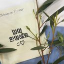 동북아파트 입구 | 나 혼자 Shanghai 🇨🇳 3박 4일 상하이 여행 (3) +고덕지도 링크