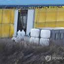 청주 보은 한우 이미지