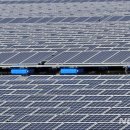 덕진태양광발전소 이미지