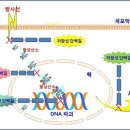 약선당약국 이미지