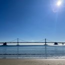 펠리스 | 부산 광안리 호텔 내돈내산 아쿠아펠리스 후기