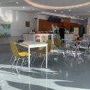 펫프닝 타운 | 천안 애견카페 펫프닝 타운 솔직후기