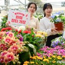 도울마트 이미지