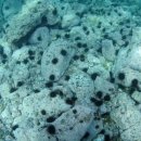 이로운바다 이미지