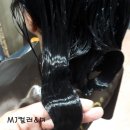 디톡스미미용실 이미지