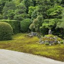 다인 앞 이미지