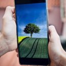 전라북도 농업기술원 이미지