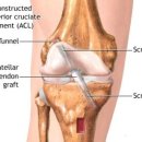 엘리트메디 이미지