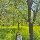 GS25 증산공원점 | 서울둘레길 7코스 완주 봉산, 앵봉산 코스 / 서울둘레길 카페 탱크6 후기
