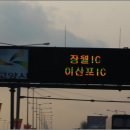 자유낚시
