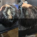 키키브라더스 이미지