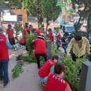 숭의4동 이미지