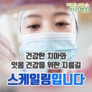 라임나무치과병원 이미지