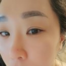 사비아크림 추천- 겨울철 보습과 트러블 진정되는 수분크림 보습크림 사비아 사쿠라딘 텍스처크림...