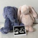 강남로2길 33-10 | 7월 셋째주 기록(20주👶👶)