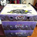 아영농장 이미지