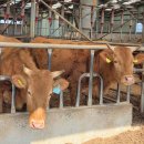 담양수퍼 이미지