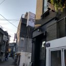 팁시타이거