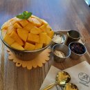 신평리마을회관 | 제주 애플망고 빙수 가성비 맛집 3만 원대