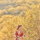 들길봄동 스포츠동아