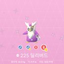 딜리버드 이미지