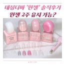 디바짐 | 데싱디바 원젤 후기 | 자석젤·반시럽 발색 비교 &amp; 유지력 꿀팁