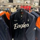 이글스 | 한화이글스 직관 후기: 🆚 KIA • 어센틱 점퍼입고 처음 응원가요 ⚾️ 📣🦅🧡 (2026.4.10)