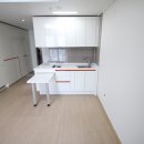 삼한골든뷰오피스텔 이미지