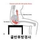 링크필라테스