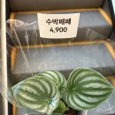 맛있는집믿거나말거나 | 모든 시간과 일들엔 나름의 의미가 있다