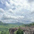 꿀산농장 이미지