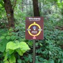 원주굽이길 16코스 매지순환둘레길 이미지