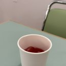 콜프로스터스 이미지