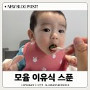 이유식준비물 모윰 이유식 스푼 사용후기