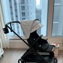 햇빛나눔 | [구매후기] 당근🥕에서 부가부 드래곤플라이 구매, 뉴나 바운서 나눔받은 후기