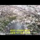 전*영 이미지